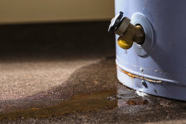 Best Carpet water damage restoration  in Helper, UT