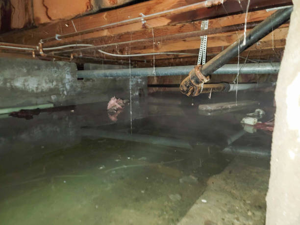 Best 24/7 water damage repair  in Helper, UT