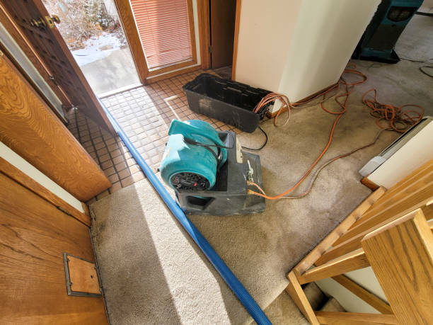 Best Residential water damage restoration  in Helper, UT