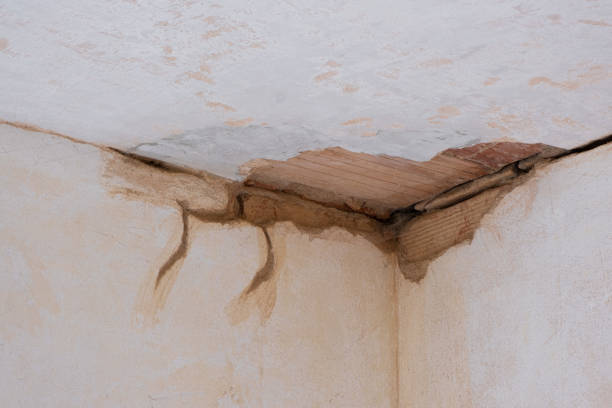 Best Mold removal after water damage  in Helper, UT