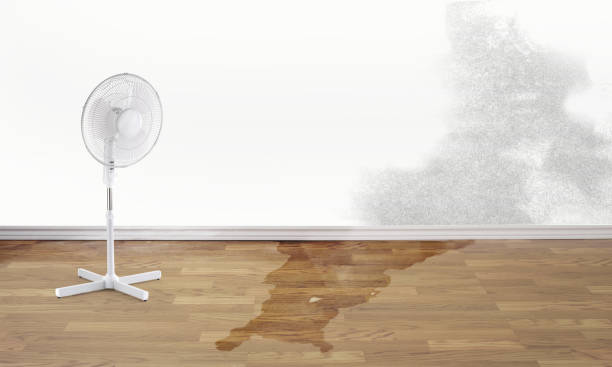 Best Water damage cleanup near me  in Helper, UT