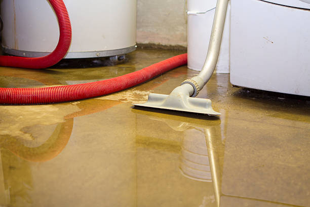 Best Basement water damage restoration  in Helper, UT