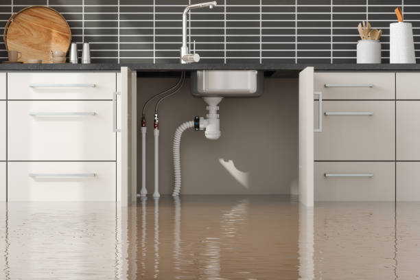 Best Water damage restoration cost  in Helper, UT