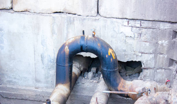 Best Mold removal after water damage  in Helper, UT