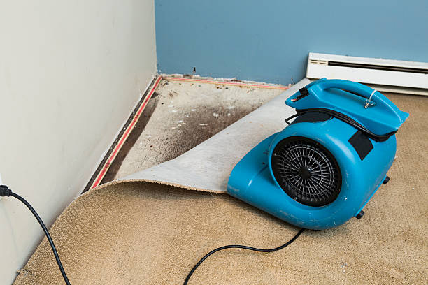 Best Flood damage cleanup  in Helper, UT
